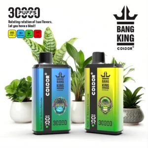 Cheap Bulk Disposable Vapes in Belgium