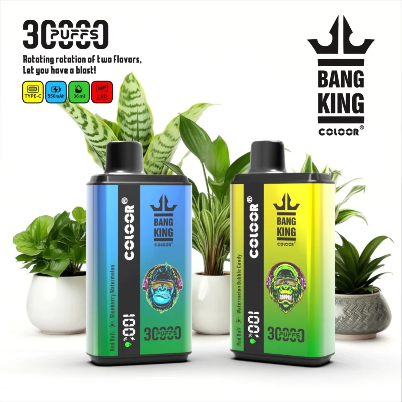 Cheap Bulk Disposable Vapes in Belgium