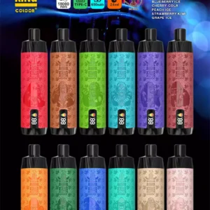 Bang King Shisha 18000 Puffs DTL Hookah Disposable Vape with Display 18K Puffs Vape Pen Electronic Cigarette Wholesale Vape Pen Bulk Buy 12 Flavors Big Cloud Type -C (2)