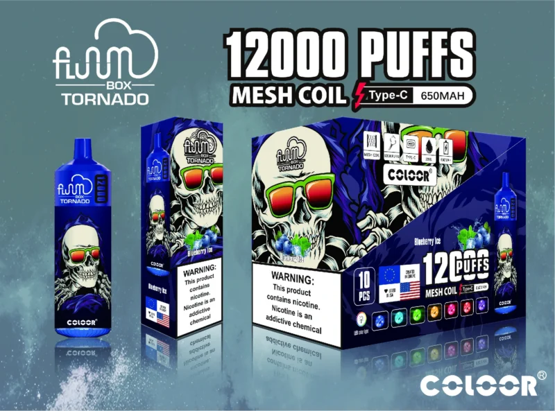 Fluum Box 12000 Puffs (12)