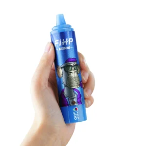 FIHP Disposable Vapes for Wholesale Buyers in Europe