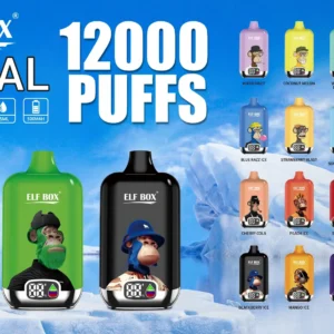 ELF BOX Digital 12000 Puffs