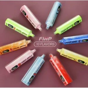 FIHP Shisha Hookah 15000 Puffs Disposable Vape Pen 22ml E-Liquid 6mg Nicotine Rechargeable 650mAh LED Display Wholesale (16)