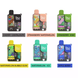 Grativape Ejoy 9500 Puffs Battery Rechargeable 650mah Latest Electronic Cigarette Wholesale Disposable Vape 10 Flavors Support OEM (2)