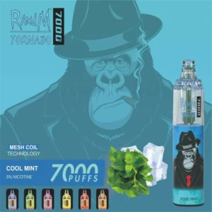 RandM Disposable Vapes Wholesale Supplier in Poland