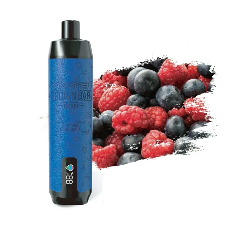 Vapme Disposable Vapes Best Options for Bulk Purchases