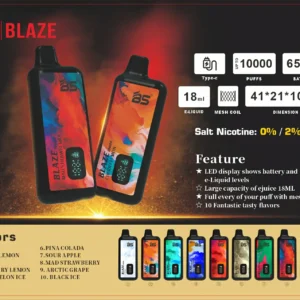 Wholesale BREZE BS BLAZE 10000 Puffs Disposable Vape Pen 2024 Best Seller with Mesh Coil Display Screen and Multiple Nicotine 0% 2% 5% Options (13)