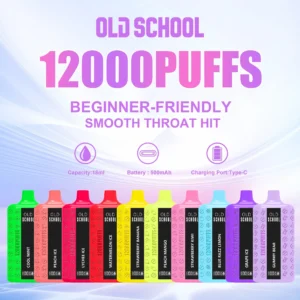 Wholesale Old School DM12000 Disposable Vape Pen 12K Puffs 18ml Multiple Nicotine 0% 2% 3% 5%Strengths Mesh Coil Type-C Charging Factory Direct. (7)