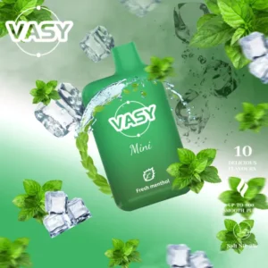 Wholesale VASY Mini 600 Puffs Disposable Vape Pen 20mg TPD Approved Direct from China Factory Nicotine 2% 5% (2)