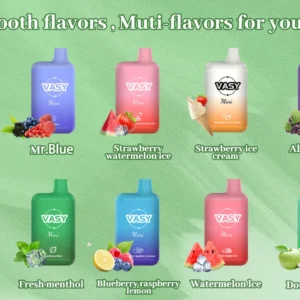 Wholesale VASY Mini 600 Puffs Disposable Vape Pen 20mg TPD Approved Direct from China Factory Nicotine 2% 5% (8)