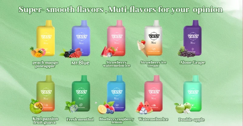 Wholesale VASY Mini 600 Puffs Disposable Vape Pen 20mg TPD Approved Direct from China Factory Nicotine 2% 5% (8)