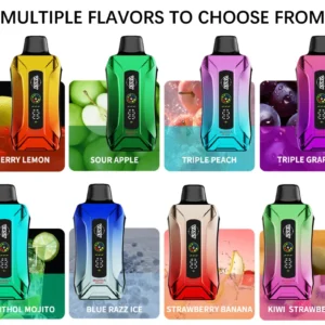Wholesale VASY SORA 18000 Puffs Disposable Vape Pen with Double Mesh Coil Multiple Nicotine Options and LED (