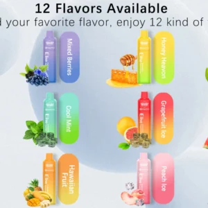 Wholesale Vasy Elise 5000 Puffs Disposable Vape Pen with Mesh Coil and Multiple Nicotine Options 550mAh Rechargeable Battery Direct from China Factory (2)