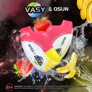 Wholesale Vasy Joker 9000 Puffs Disposable Vape Pen with 18ml E-liquid 5% Nicotine Mesh Coil and 5 (1)