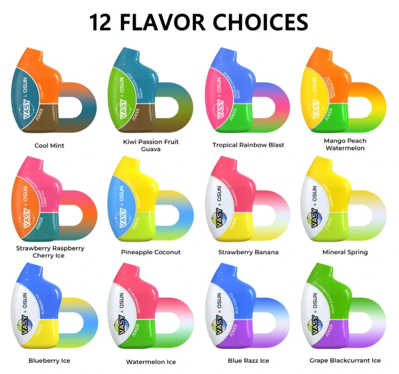 Wholesale Vasy Disposable Vapes in France