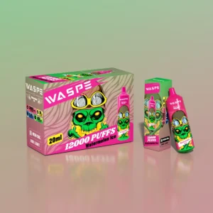 Disposable Vapes with 12000 Puffs