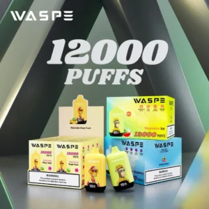 Wholesale Waspe 12000 Puffs Digital Box Disposable Vape Pen with LCD Display 20ml Capacity Mesh Coil Multiple Nicotine Levels 0% 2% 3% 5% (6)