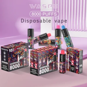 Wholesale Waspe 8000 Puffs Disposable Vape Pen with Multiple Nicotine 0% 2% 3% 5% Levels 16ml Capacity Type-C Rechargeable Battery (2)