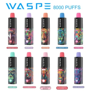 Wholesale Waspe 8000 Puffs Disposable Vape Pen with Multiple Nicotine 0% 2% 3% 5% Levels 16ml Capacity Type-C Rechargeable Battery (3)