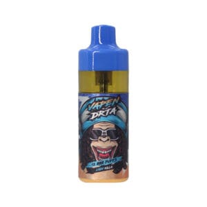 Buy in Bulk VAPEN TITAN 10000 Puffs Disposable Vape 13 Flavors Rechargeable 2% 5% Nicotine