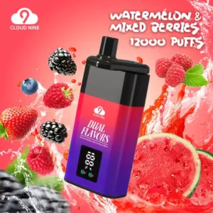 High Quality CLOUD NINE D19P 9000 Puffs Disposable Vape Wholesale with 3% Nicotine and 10 Fresh Flavors