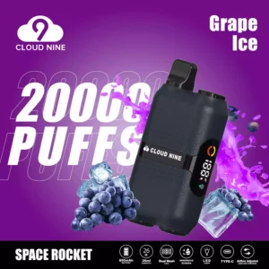 Original Factory CLOUD NINE D33 20000 Puffs Wholesale Bulk Buy Disposable Vape 5% Nicotine Fresh 10 Flavors 2024 New (11)