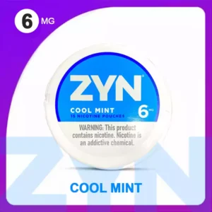 ZYN Nicotine Pouches Wholesale Bulk Buy Nicotine 6MG 10 Flavors 2025 New Original Factory Shipment (4)